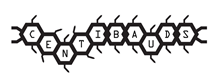 logo 300